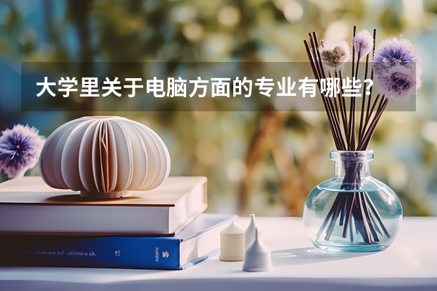 大学里关于电脑方面的专业有哪些？