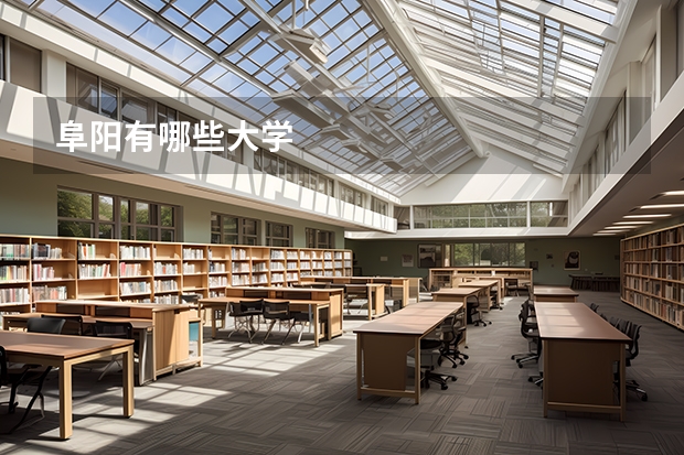 阜阳有哪些大学