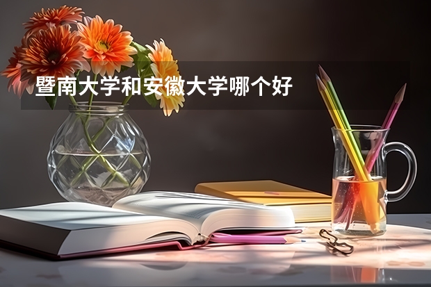 暨南大学和安徽大学哪个好