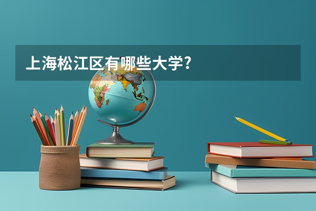 上海松江区有哪些大学?