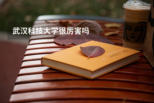 武汉科技大学很厉害吗