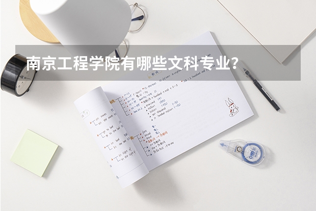 南京工程学院有哪些文科专业？