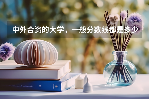 中外合资的大学，一般分数线都是多少？