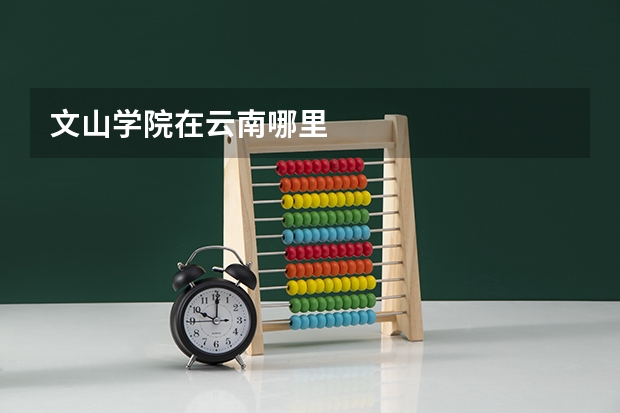 文山学院在云南哪里