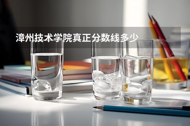 漳州技术学院真正分数线多少