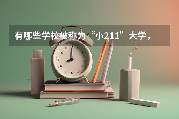有哪些学校被称为“小211”大学，实力并不比211大学差？有推荐的吗？