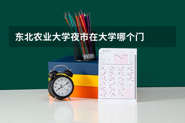 东北农业大学夜市在大学哪个门