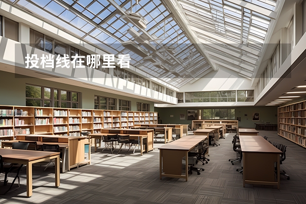 投档线在哪里看
