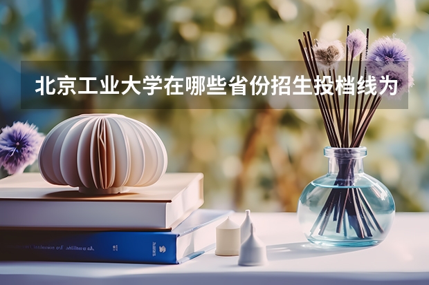 北京工业大学在哪些省份招生投档线为最低分？