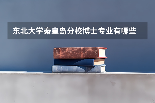 东北大学秦皇岛分校博士专业有哪些