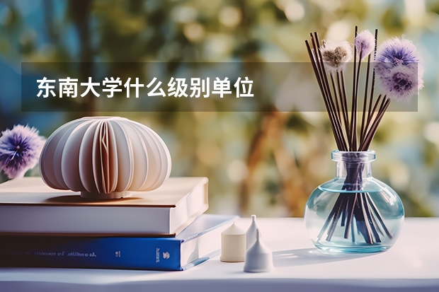 东南大学什么级别单位