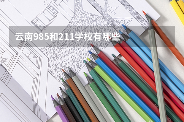云南985和211学校有哪些