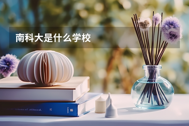南科大是什么学校
