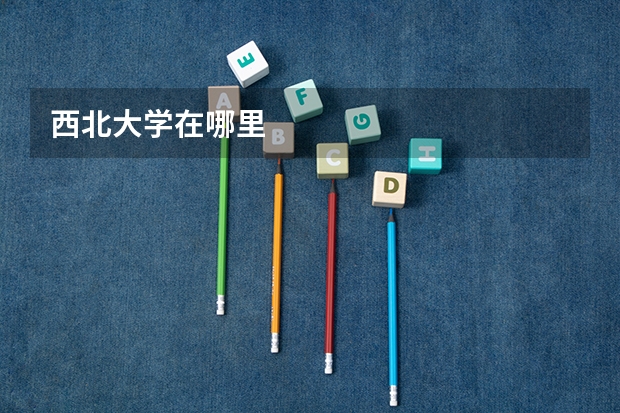 西北大学在哪里