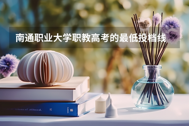 南通职业大学职教高考的最低投档线 江苏省教育考试院专科投档线