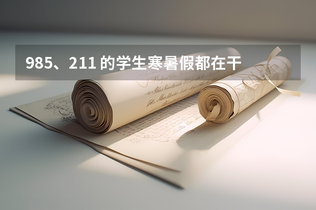 985、211 的学生寒暑假都在干什么？
