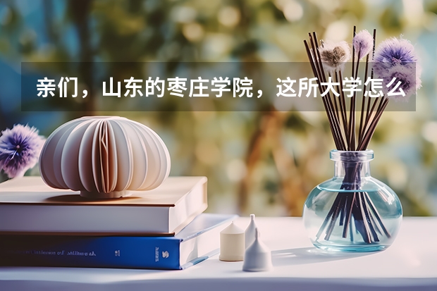 亲们，山东的枣庄学院，这所大学怎么样？谢谢？