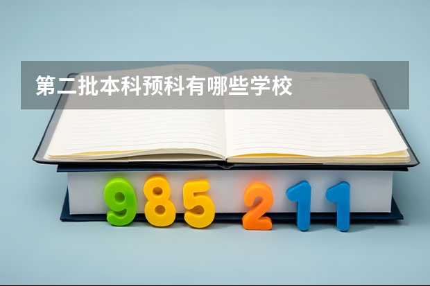 第二批本科预科有哪些学校