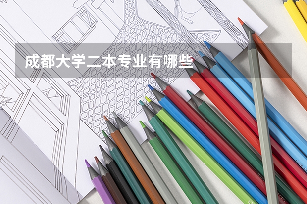 成都大学二本专业有哪些