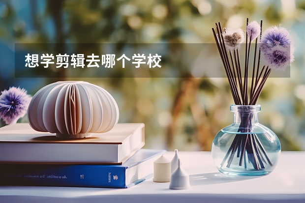 想学剪辑去哪个学校