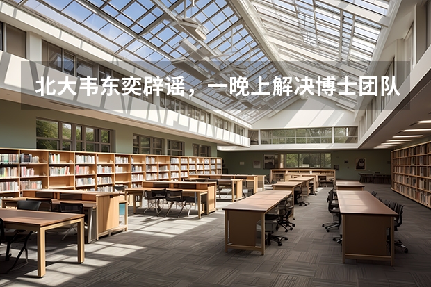 北大韦东奕辟谣，一晚上解决博士团队难题为假，如何杜绝此类事件的发生？