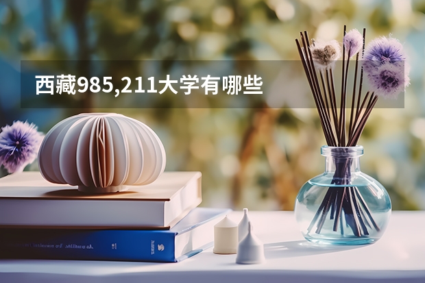 西藏985,211大学有哪些