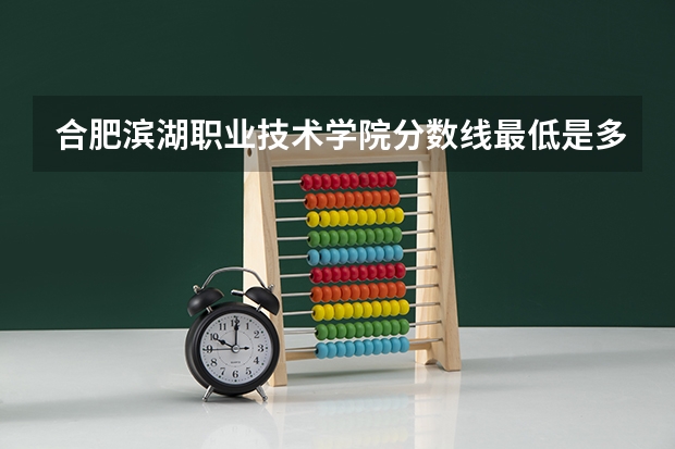 合肥滨湖职业技术学院分数线最低是多少