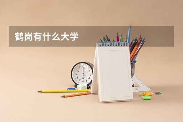 鹤岗有什么大学