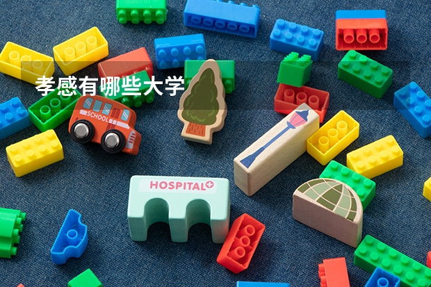 孝感有哪些大学