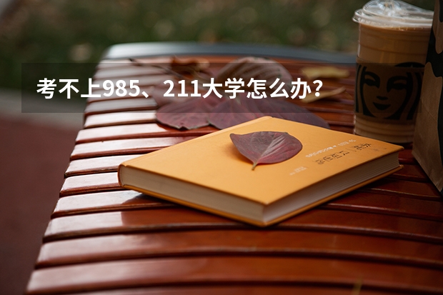 考不上985、211大学怎么办？