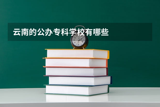 云南的公办专科学校有哪些