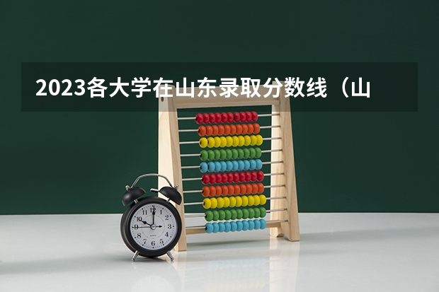 2023各大学在山东录取分数线（山东大学2023高考招生简章汇总）