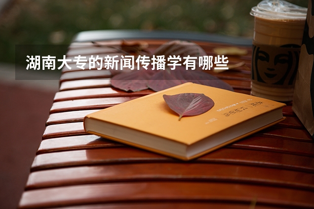 湖南大专的新闻传播学有哪些