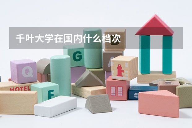 千叶大学在国内什么档次