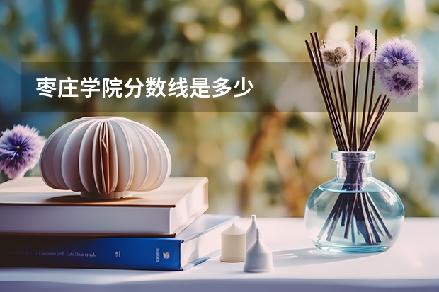 枣庄学院分数线是多少