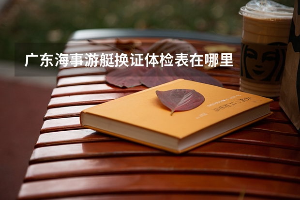广东海事游艇换证体检表在哪里