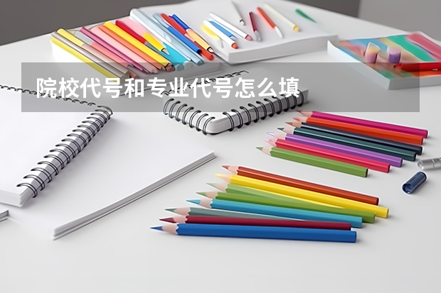 院校代号和专业代号怎么填
