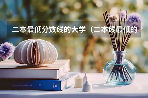 二本最低分数线的大学（二本线最低的大学）