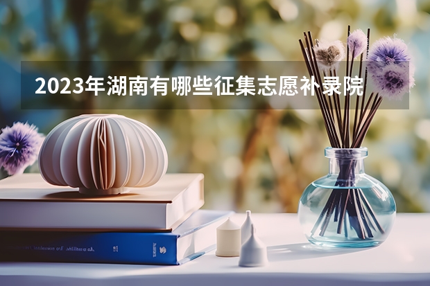 2023年湖南有哪些征集志愿补录院校？