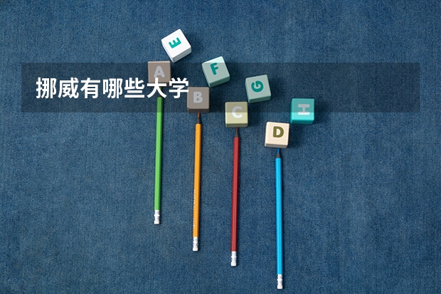 挪威有哪些大学