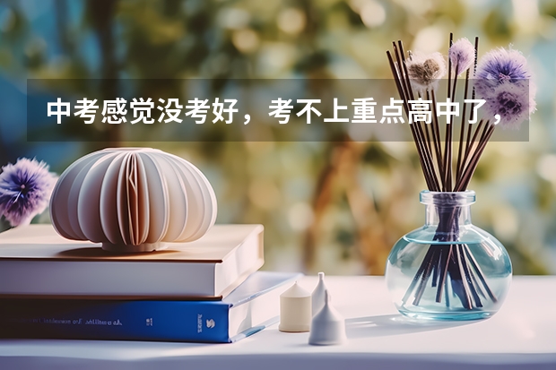 中考感觉没考好，考不上重点高中了，怎么办