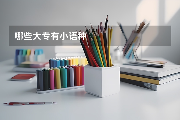 哪些大专有小语种