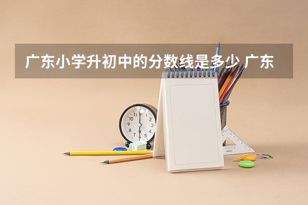 广东小学升初中的分数线是多少 广东省湛江第一中学小升初录取分数线