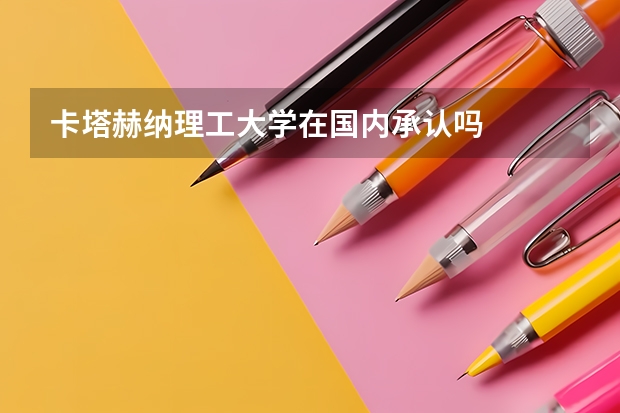 卡塔赫纳理工大学在国内承认吗