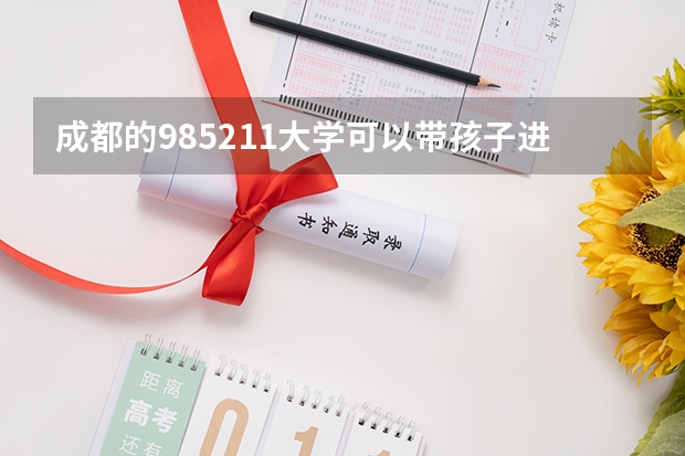 成都的985211大学可以带孩子进去研学吗