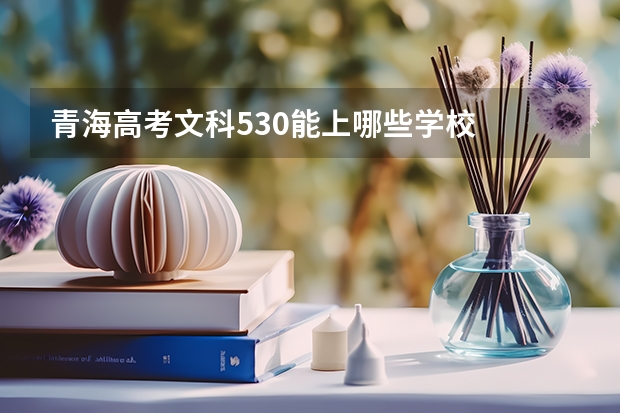 青海高考文科530能上哪些学校