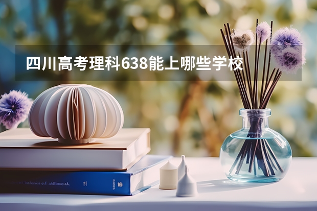 四川高考理科638能上哪些学校