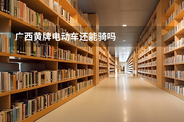 广西黄牌电动车还能骑吗