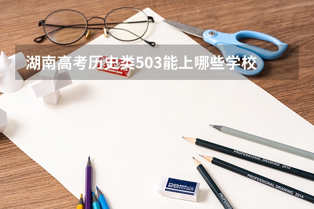 湖南高考历史类503能上哪些学校