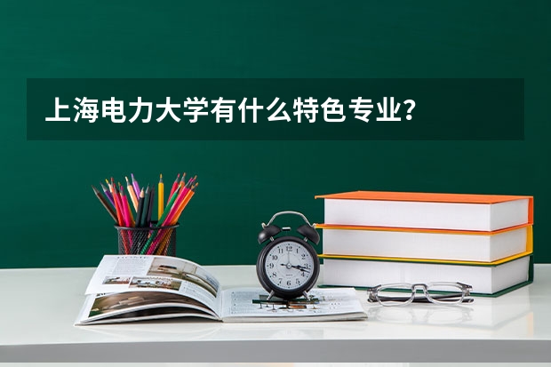 上海电力大学有什么特色专业？